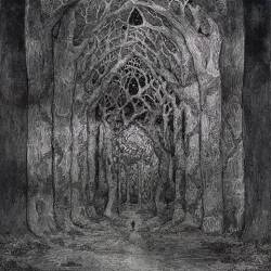 Within the Darkness Between the Starlight